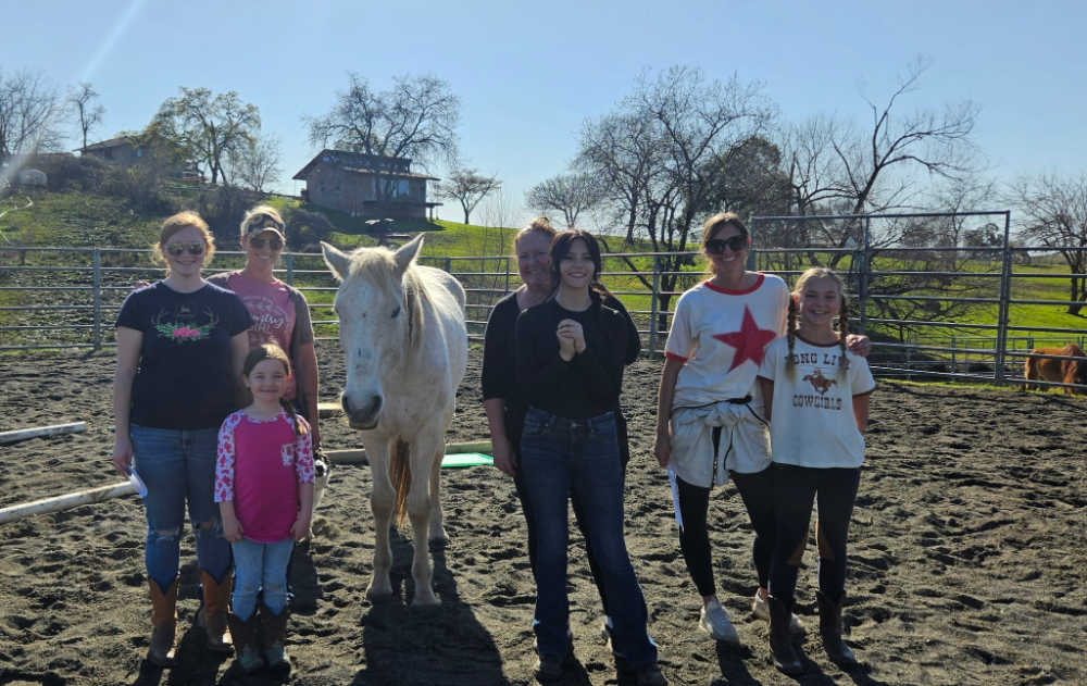 Moms and daughters workshop with horses at Warriors Soul in Lincoln California.