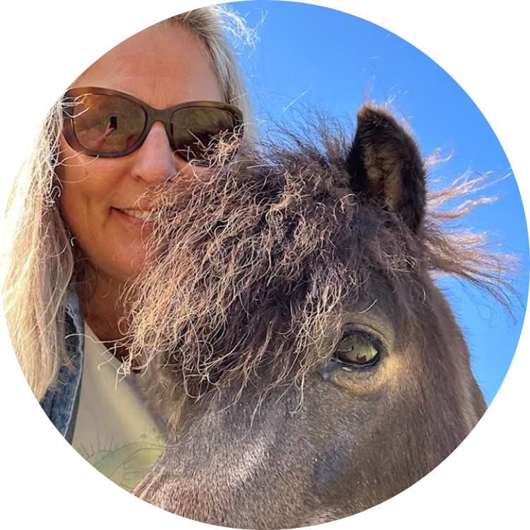 Lacey Wise, Equine Professional at Warrior's Soul horse riding and equine assisted learning program Lincoln California